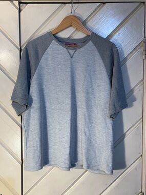 Edikted Short-Sleeve Raglan Shirt - Light Gray & Gray